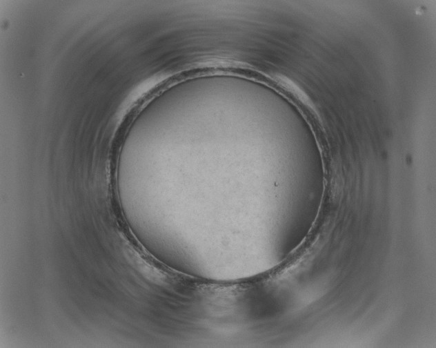 X0000062870831200601131439