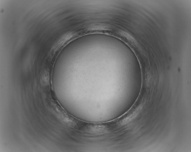 X0000062870833200601131439