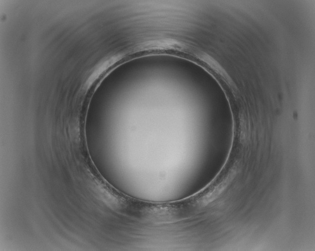 X0000062870834200601131439