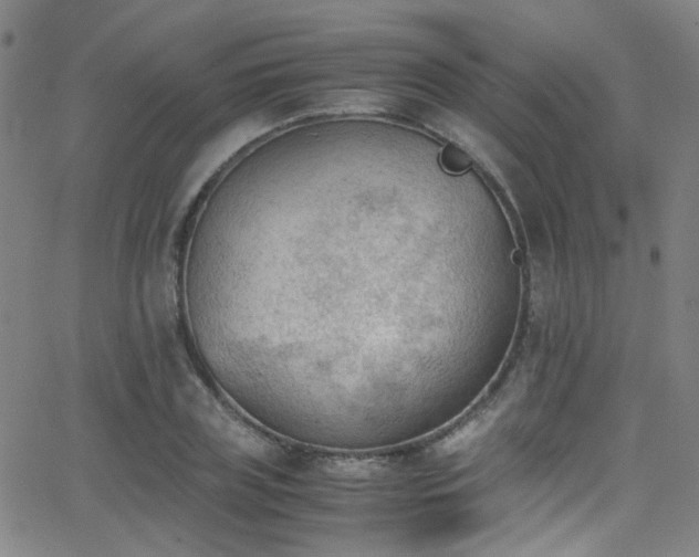 X0000062870835200601131439