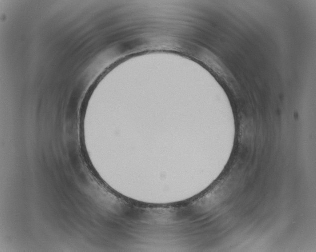 X0000062870836200601131439