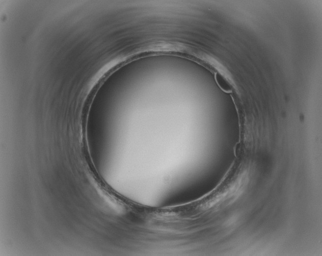 X0000062870837200601131439