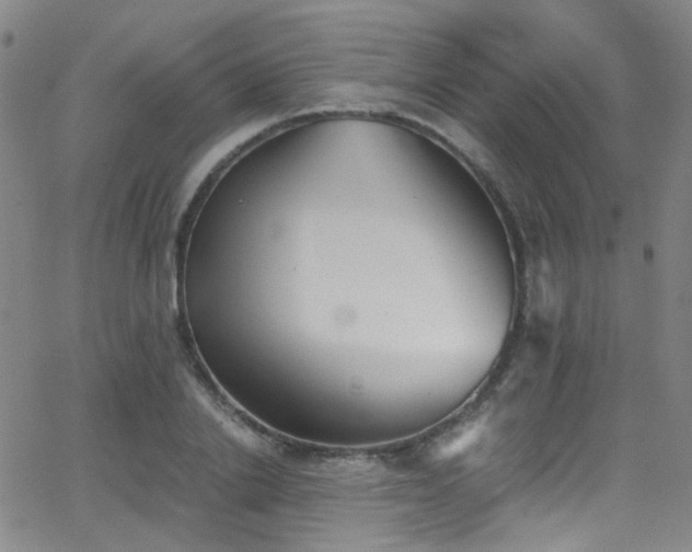 X0000062870838200601131439