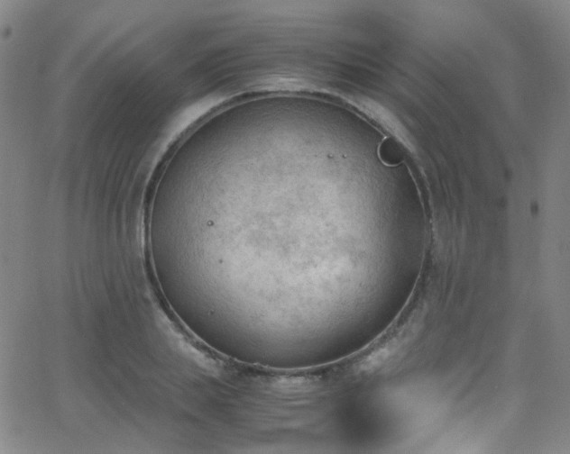 X0000062870839200601131439