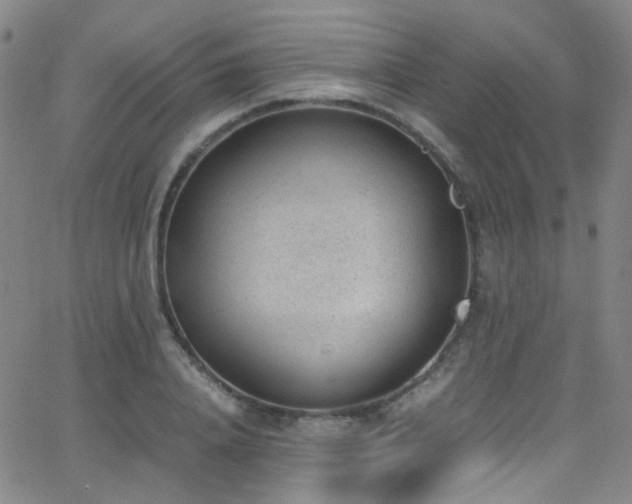 X0000062870840200601131439