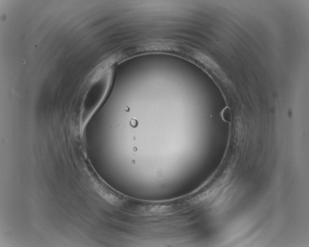 X0000062870841200601131439