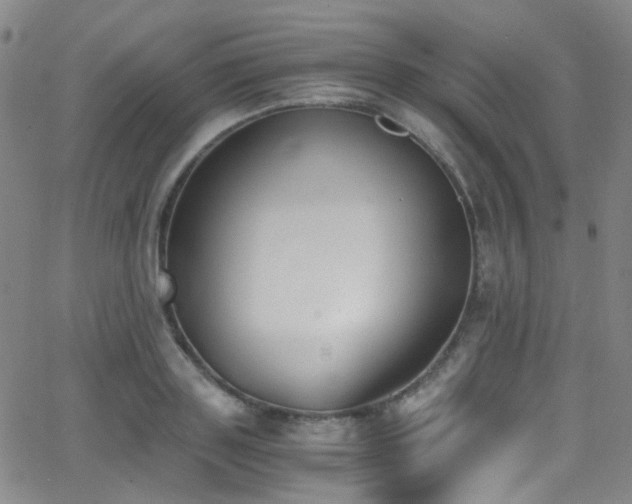 X0000062870843200601131439