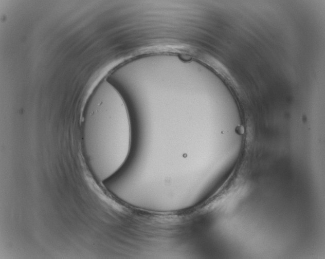 X0000062870844200601131439