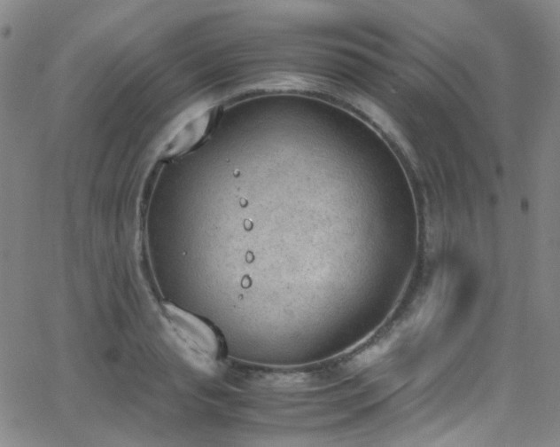 X0000062870845200601131439