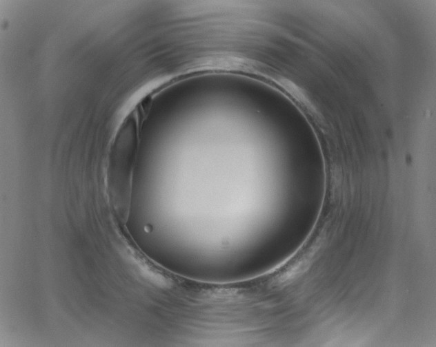 X0000062870846200601131439