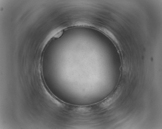 X0000062870847200601131439