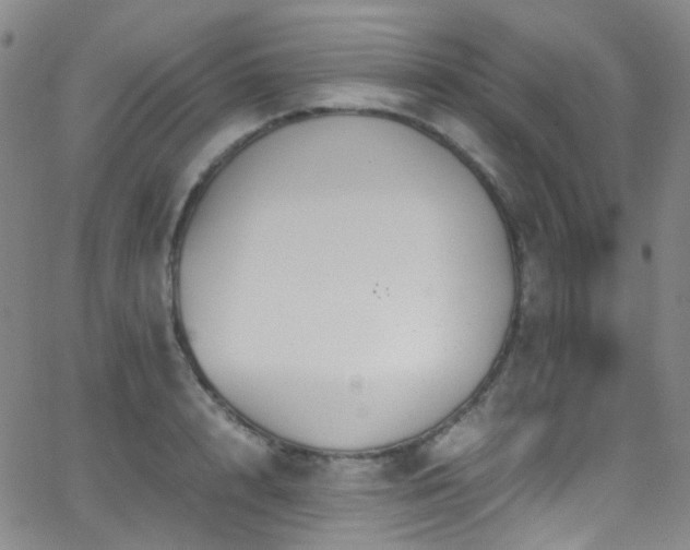 X0000062870848200601131439