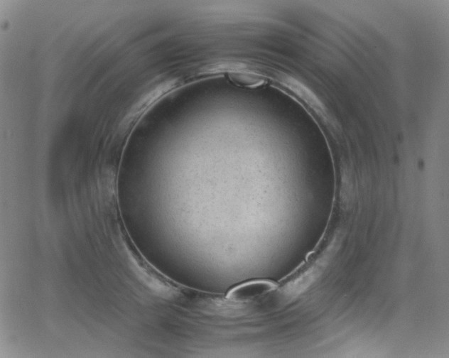 X0000062870849200601131439