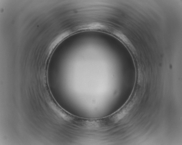 X0000062870850200601131439