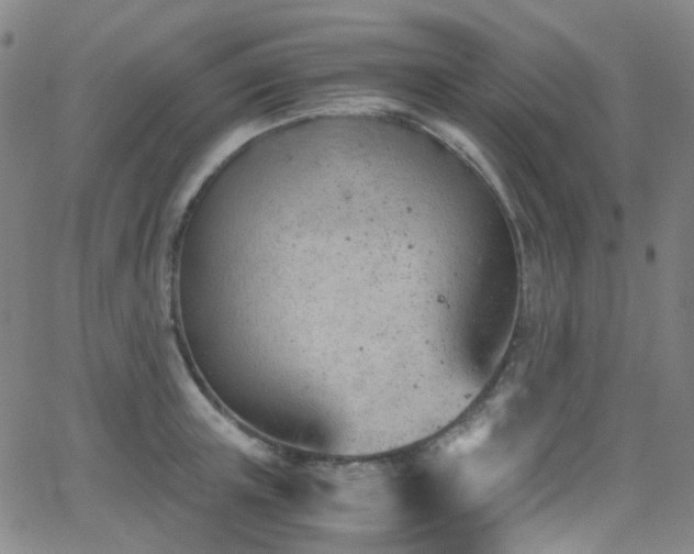 X0000062870851200601131439