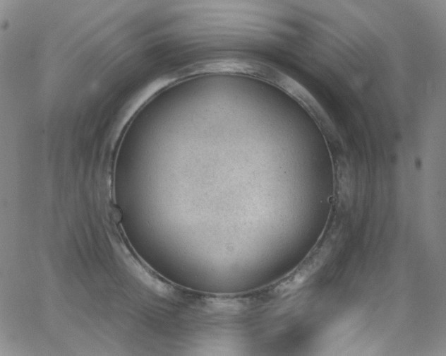 X0000062870852200601131439