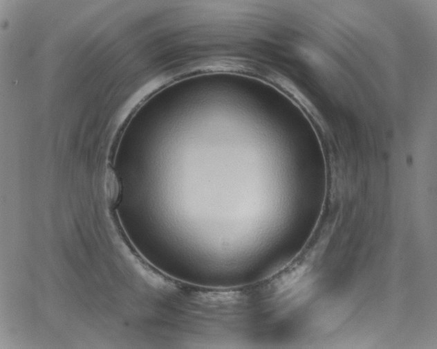 X0000062870853200601131439