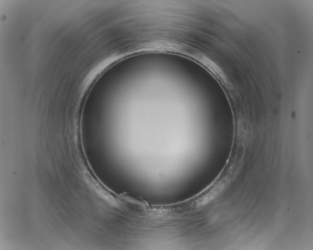 X0000062870854200601131439