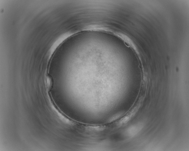 X0000062870855200601131439