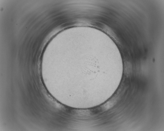 X0000062870856200601131439