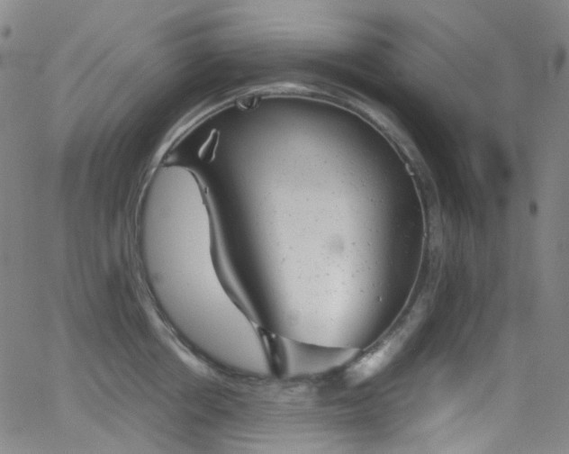 X0000062870858200601131439