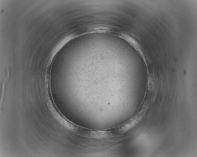 X0000062870859200601131439