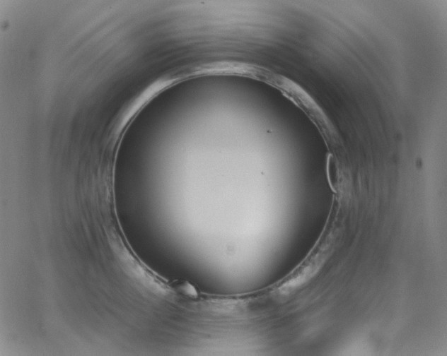 X0000062870860200601131439