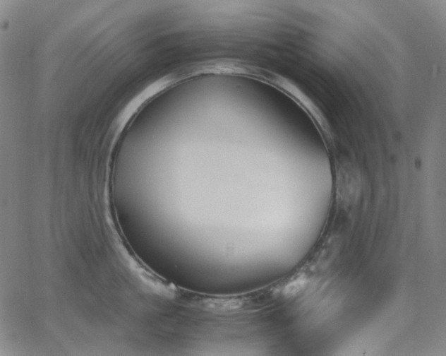 X0000062870861200601131439