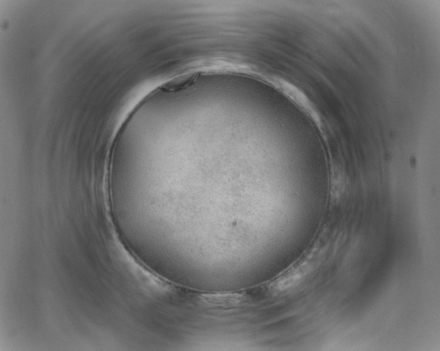 X0000062870863200601131439