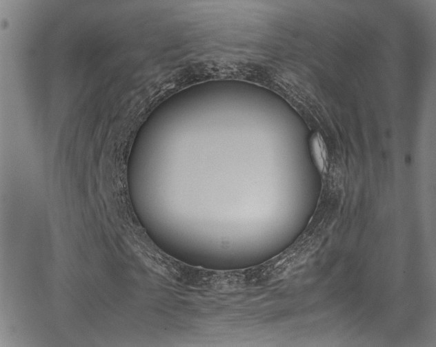 X0000062870865200601131439