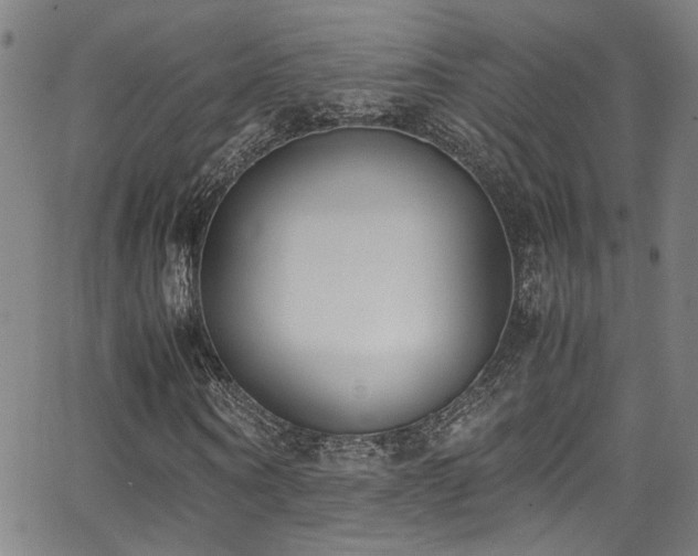 X0000062870866200601131439