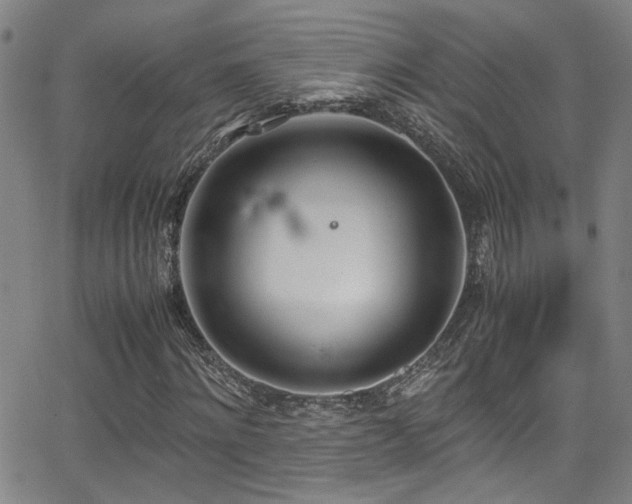 X0000062870868200601131439