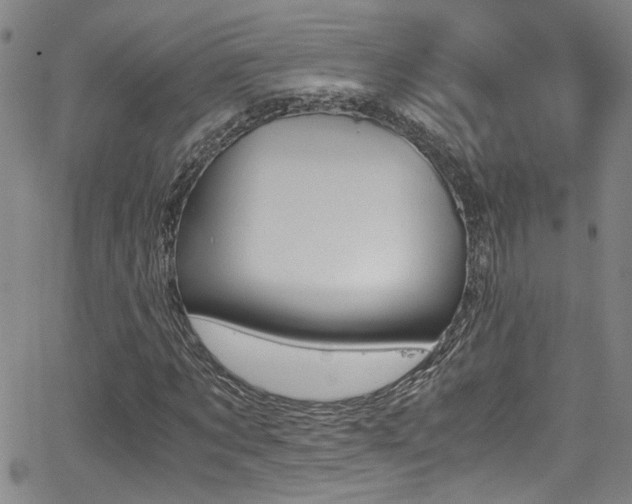 X0000062870869200601131439