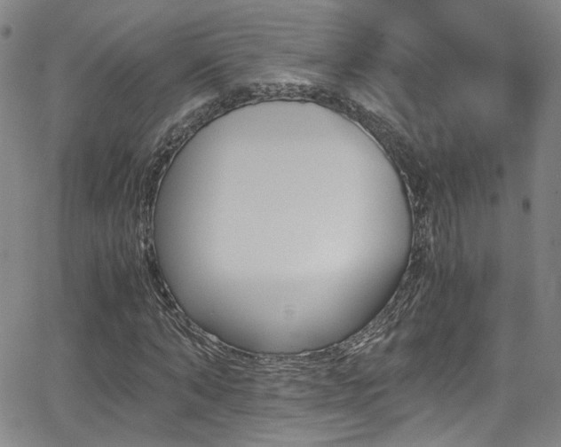 X0000062870870200601131439