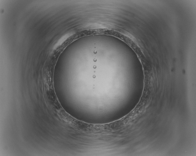 X0000062870871200601131439