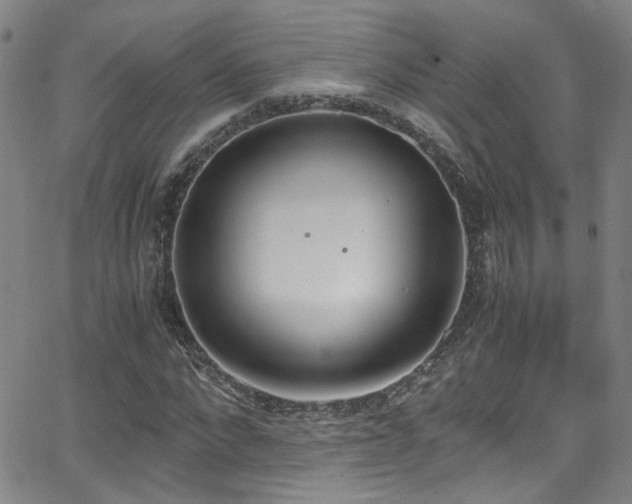 X0000062870872200601131439