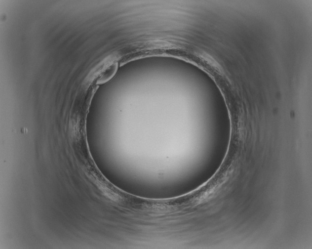 X0000062870873200601131439