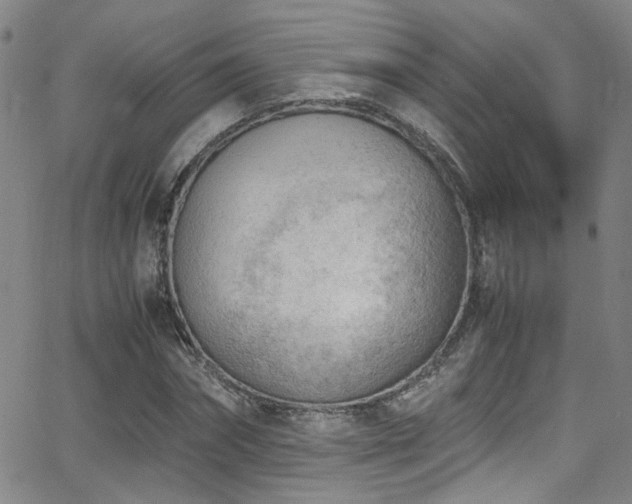 X0000062870874200601131439