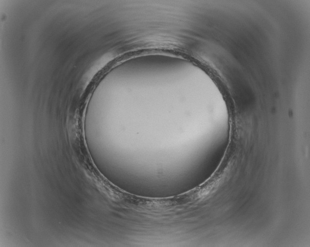 X0000062870875200601131439