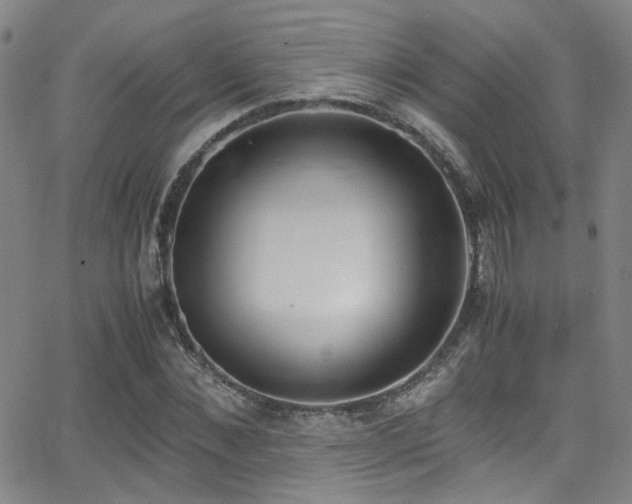 X0000062870876200601131439