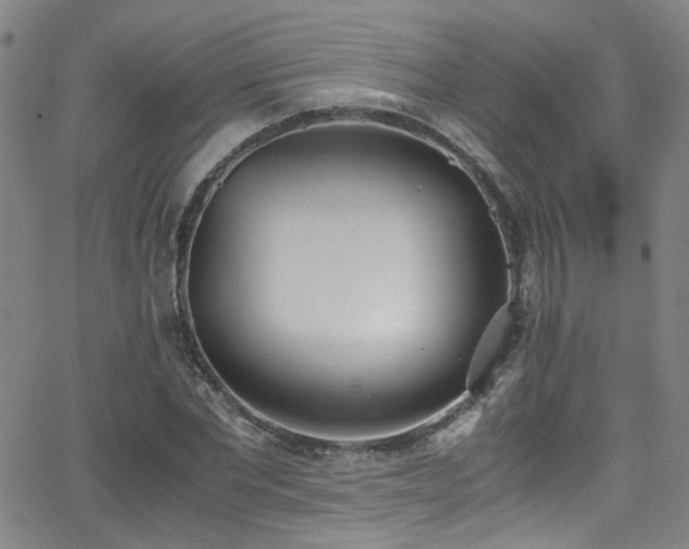 X0000062870877200601131438