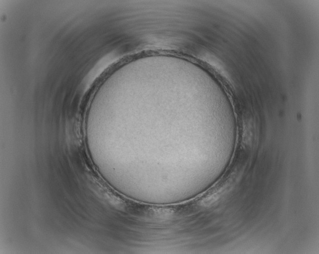 X0000062870878200601131438