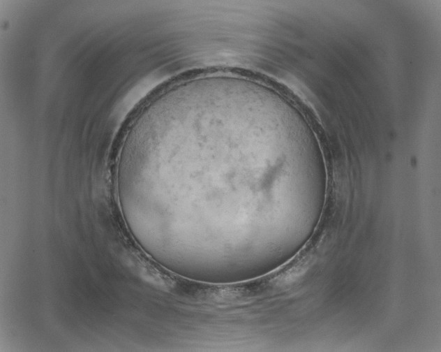 X0000062870879200601131438