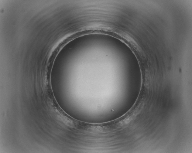 X0000062870880200601131438