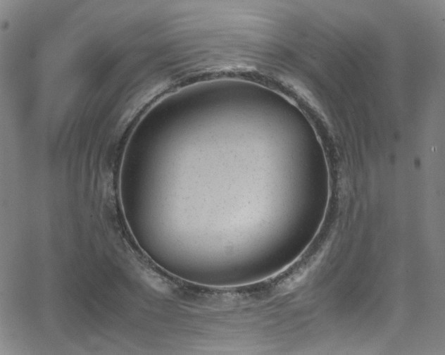 X0000062870881200601131438