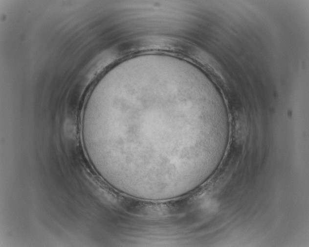 X0000062870882200601131438