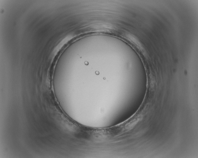 X0000062870883200601131438