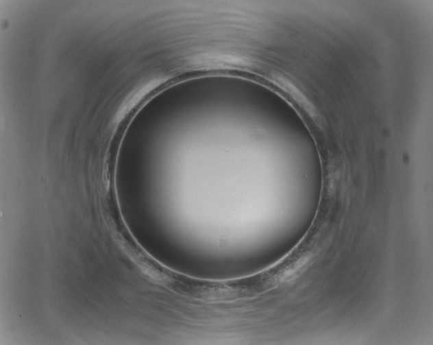 X0000062870885200601131438