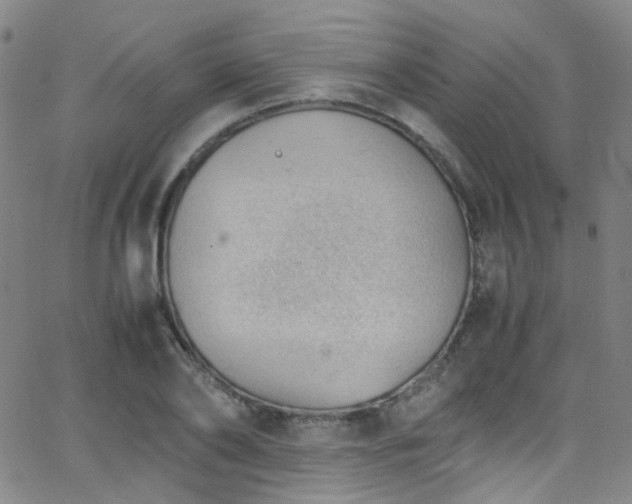 X0000062870886200601131438