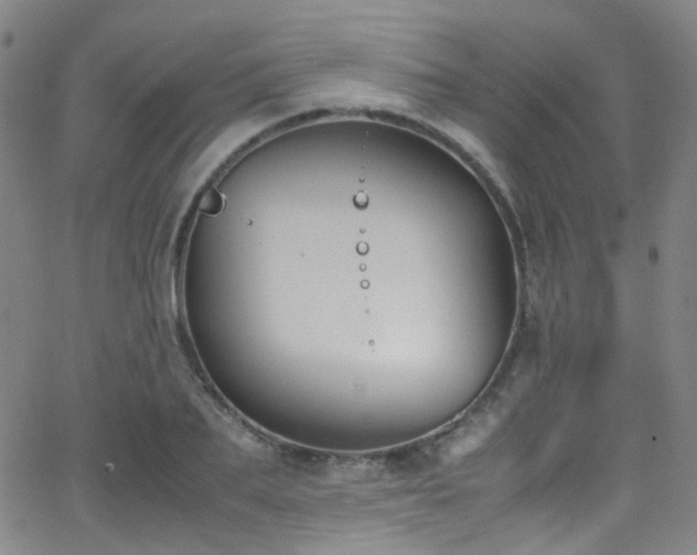 X0000062870887200601131438